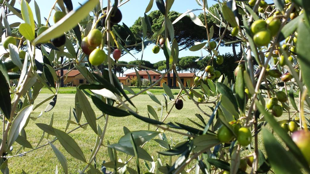 La Fattoria Di Tirrenia Aparthotel Eksteriør bilde