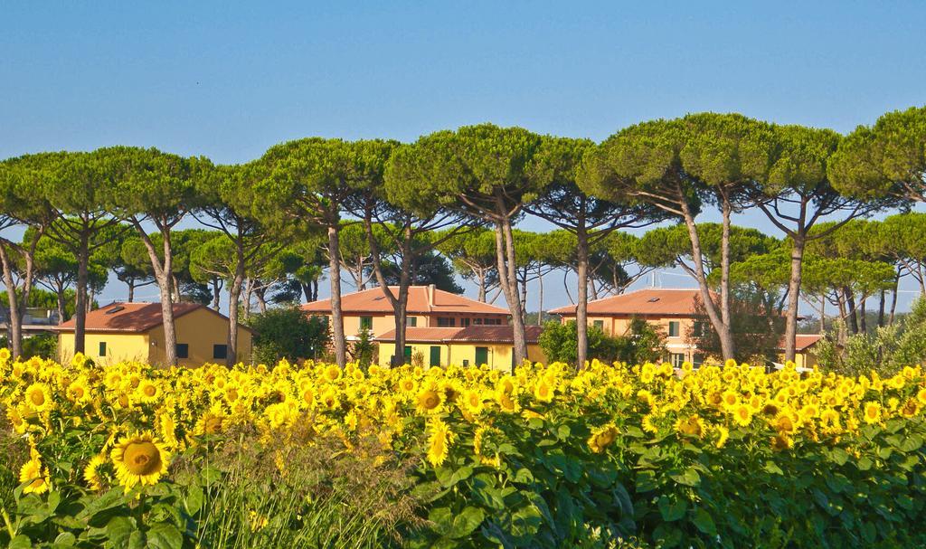 La Fattoria Di Tirrenia Aparthotel Eksteriør bilde
