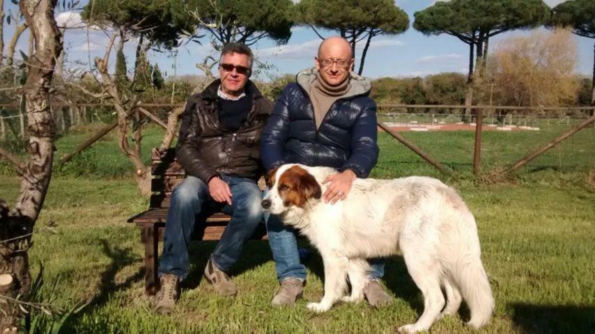 La Fattoria Di Tirrenia Aparthotel Eksteriør bilde