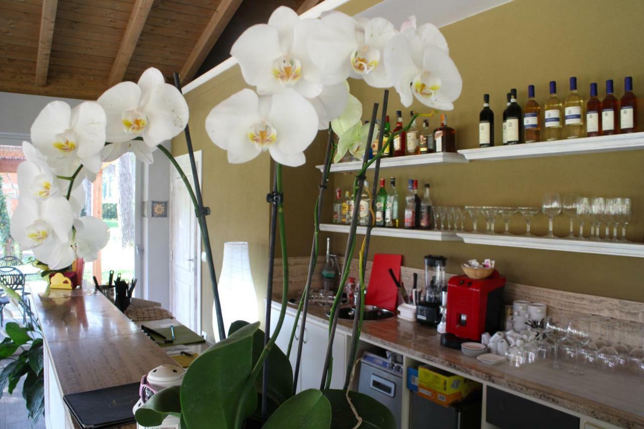 La Fattoria Di Tirrenia Aparthotel Eksteriør bilde